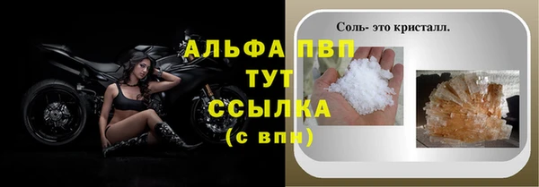 гашик Абаза